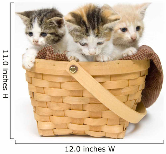 Three Kittens in a Basket Wall Decal