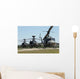 apache helicopters Wall Mural