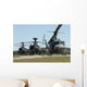 apache helicopters Wall Mural