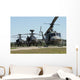 apache helicopters Wall Mural