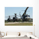 apache helicopters Wall Mural