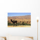 Chameau Wall Decal