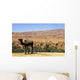 Chameau Wall Decal