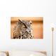 Caucasian Owl