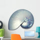 Nautilus Shell Wall Mural
