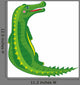 Crocodile