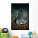 Schwarzpunkt Stechrochen Stingray Taeniura Wall Mural