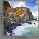 Manarola Fisherman Village Cinque