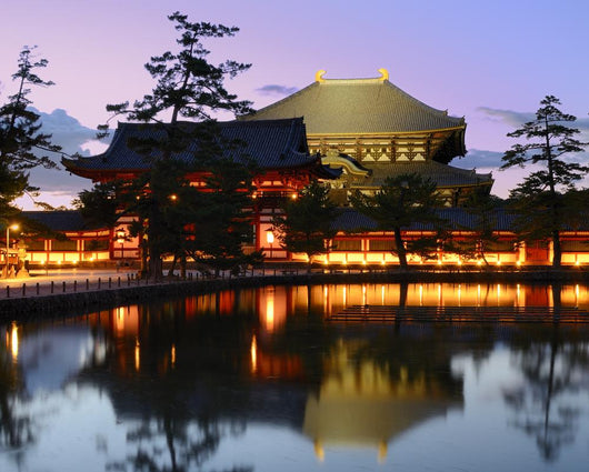 Todaiji Temple in Nara Japan Wall Mural