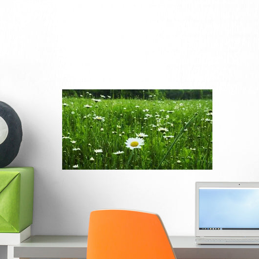 Chamomile Meadow Wall Decal