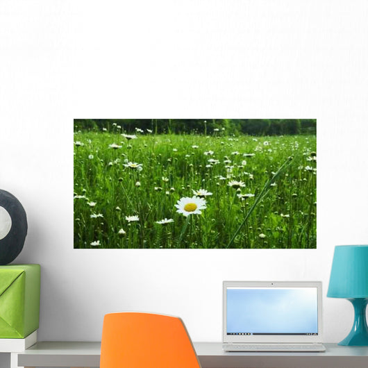 Chamomile Meadow Wall Decal