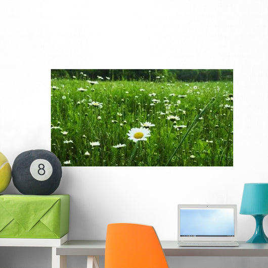 Chamomile Meadow Wall Decal