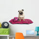 Chien Sur Son Tapis Wall Mural