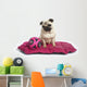 Chien Sur Son Tapis Wall Mural