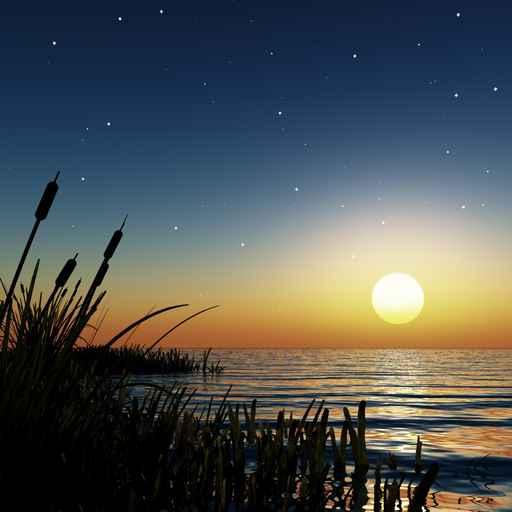 Starry Sunset Wall Decal