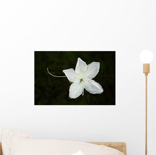 White Flower