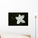 White Flower