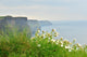 Cliffs Moher Ireland Wall Mural