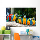 Colorful Macaws Sitting Tree