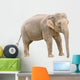 Asian elephant young female cutout Wall Decal