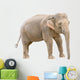 Asian elephant young female cutout Wall Decal