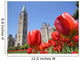 Parliament of canada, red tulips, Ottawa Wall Mural