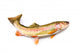 Rainbow Trout Wall Decal