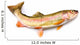 Rainbow Trout Wall Decal