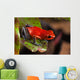 Red Poison Dart Frog