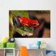 Red Poison Dart Frog