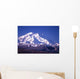 mt mckinley (denali) in alaska Wall Mural