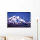mt mckinley (denali) in alaska Wall Mural