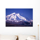 mt mckinley (denali) in alaska Wall Mural