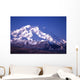 mt mckinley (denali) in alaska Wall Mural