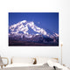 mt mckinley (denali) in alaska Wall Mural