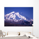 mt mckinley (denali) in alaska Wall Mural