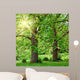 Big Plane Trees and Wall Mural