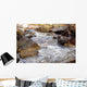 Stream Wall Decal