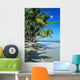 Beautiful Beach with Palm Wall Decal