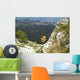 Seilbahn Auf Den Aj-petri Wall Decal