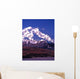 Vertical Image Mt McKinley Wall Decal