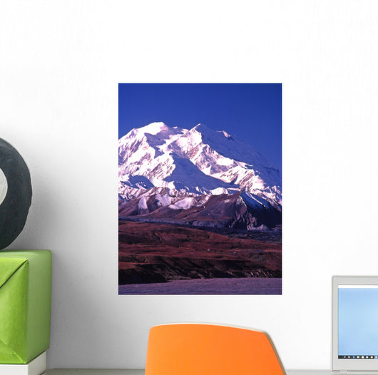 vertical image of mt mckinley (denali) in alaska Wall Mural