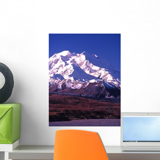 vertical image of mt mckinley (denali) in alaska Wall Mural