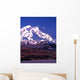 Vertical Image Mt McKinley Wall Decal