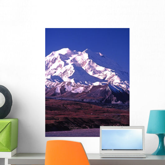 vertical image of mt mckinley (denali) in alaska Wall Mural