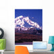 vertical image of mt mckinley (denali) in alaska Wall Mural