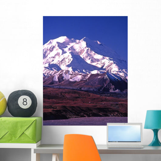 vertical image of mt mckinley (denali) in alaska Wall Mural