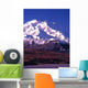 vertical image of mt mckinley (denali) in alaska Wall Mural