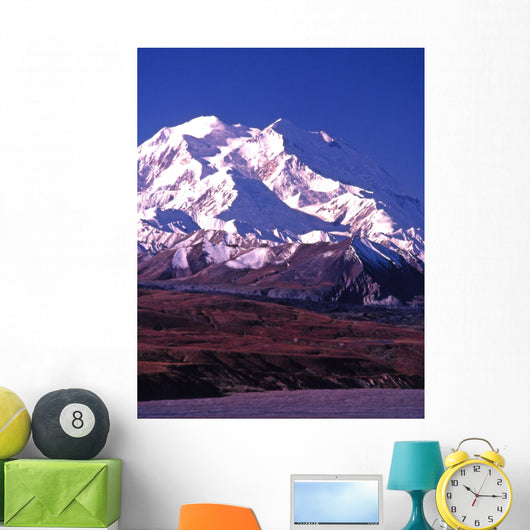 vertical image of mt mckinley (denali) in alaska Wall Mural