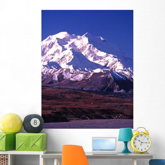 vertical image of mt mckinley (denali) in alaska Wall Mural